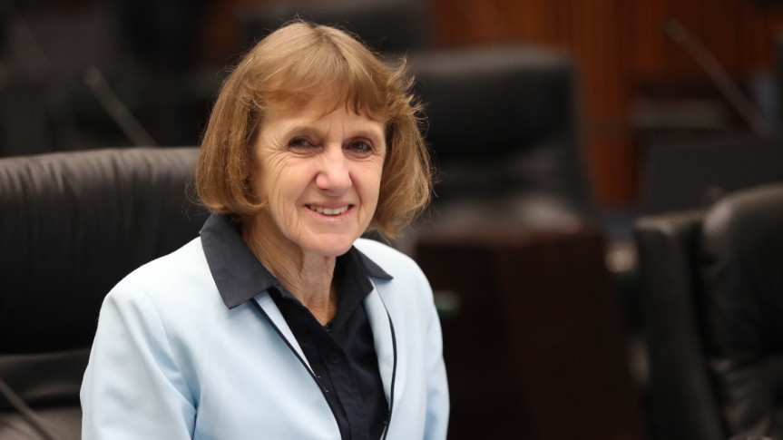 Deputada Luciana Rafagnin (PT).