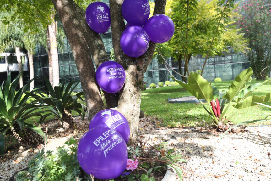 Dia Mundial de Conscientização sobre Epilepsia ou Purple Day é comemorado em 26 de março.