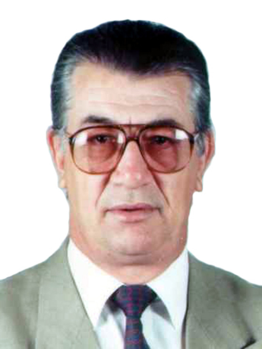 Villani foi deputado constituinte entre os anos de 1987-1991. Ocupou ainda uma cadeira na Câmara dos Deputados entre os anos de 1991-2003.