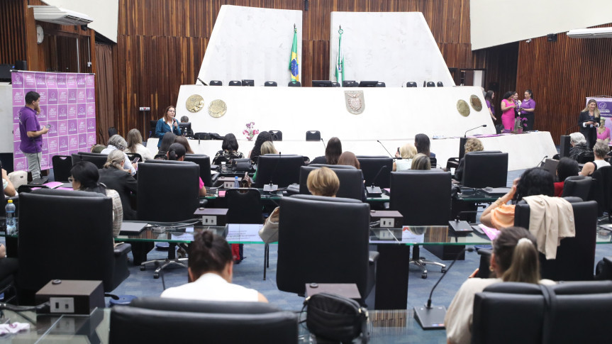 Segundo dia de seminário ocorreu nesta quinta-feira (13), no Plenário da Casa.