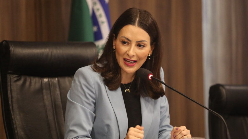 Deputada Mabel Canto (PP).