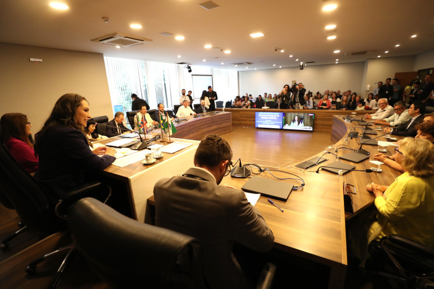 A Frente foi criada para debater e propor políticas públicas direcionadas à proteção e direitos das crianças de zero a seis anos.