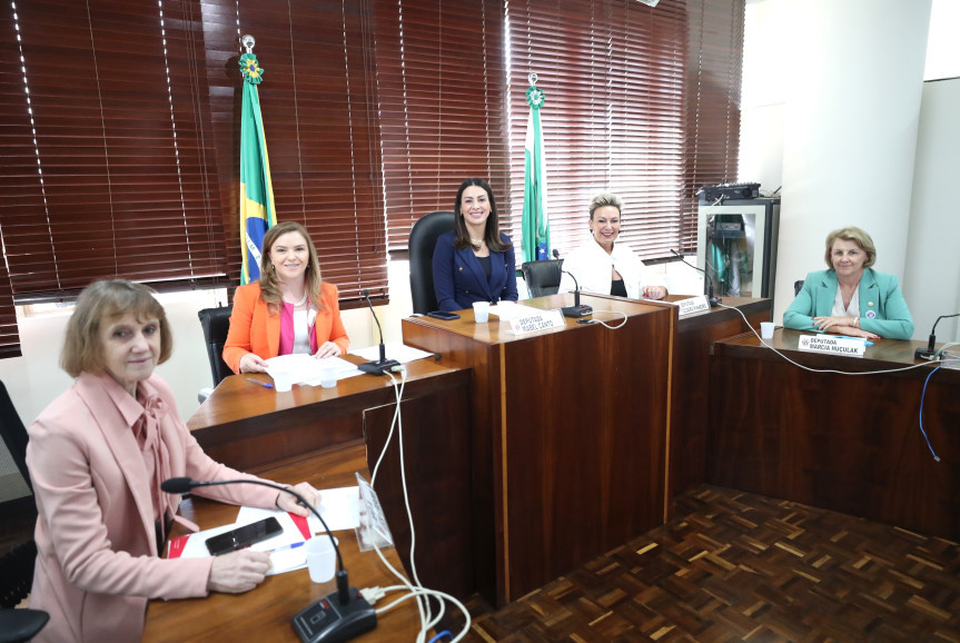 Reunião ocorreu no início da tarde desta segunda-feira (´20), na Sala das Comissões.