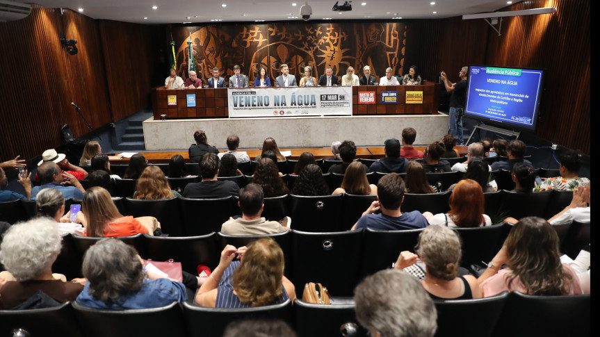 Audiência pública reuniu especialistas no Plenarinho da Assembleia.