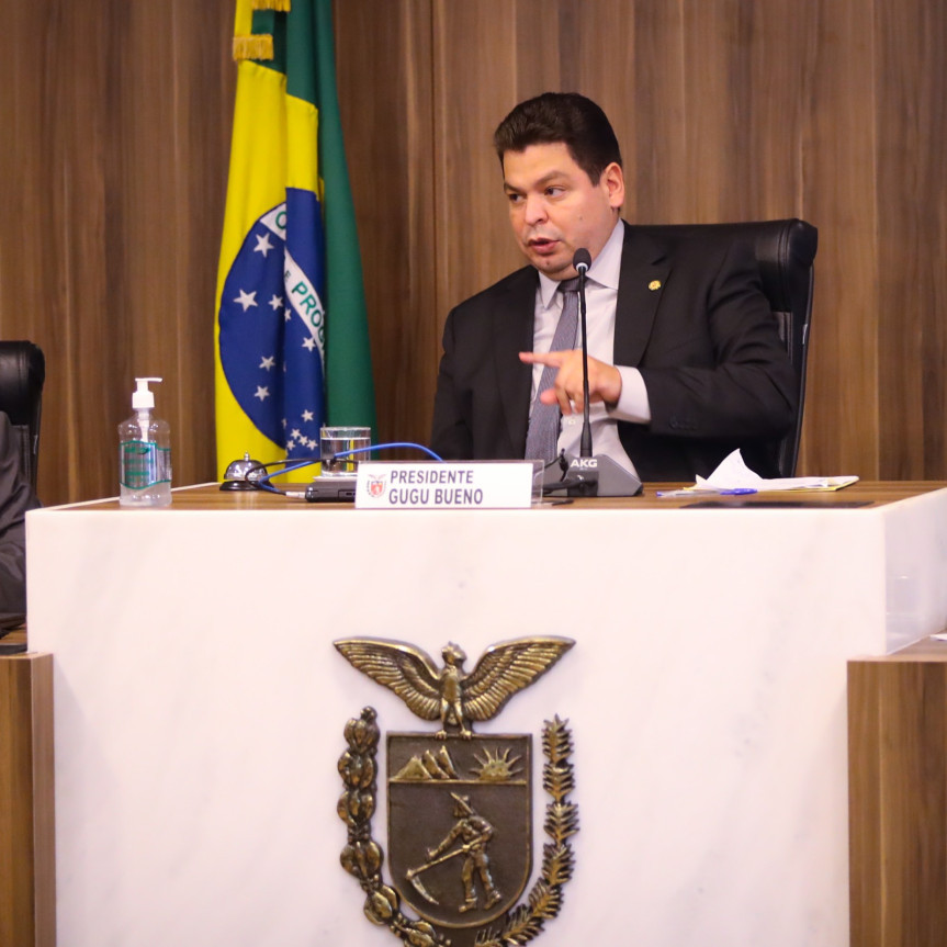 “O debate não é apenas sobre a transição de instalação das praças de pedágio, é também sobre a previsão de obras e manutenção das estradas. Precisamos ter acesso ao cronograma de trabalho das concessionárias para podermos acompanhar as ações e também para que haja transparência para o usuário. As obras estruturantes e a prestação do serviço são a maior preocupação”, afirma Gugu Bueno.