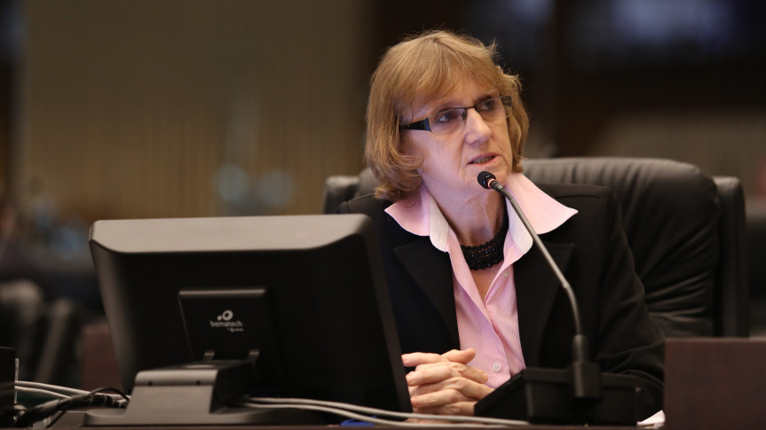 Deputada Luciana Rafagnin (PT).