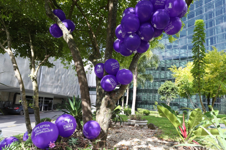 Dia Mundial de Conscientização sobre Epilepsia ou Purple Day é comemorado em 26 de março.