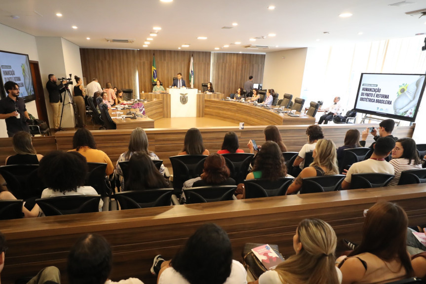 Audiência ocorreu no Auditório Legislativo, na manhã desta segunda-feira (30).