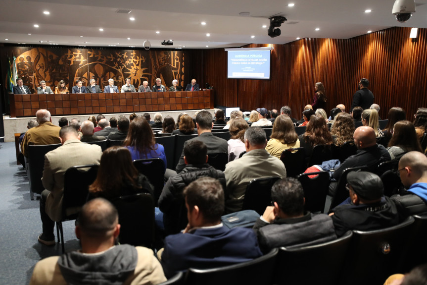 Audiência ocorreu no Plenarinho da Assembleia Legislativa na manhã desta terça-feira (21).