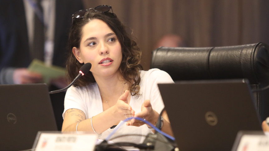 Deputada Ana Júlia (PT).