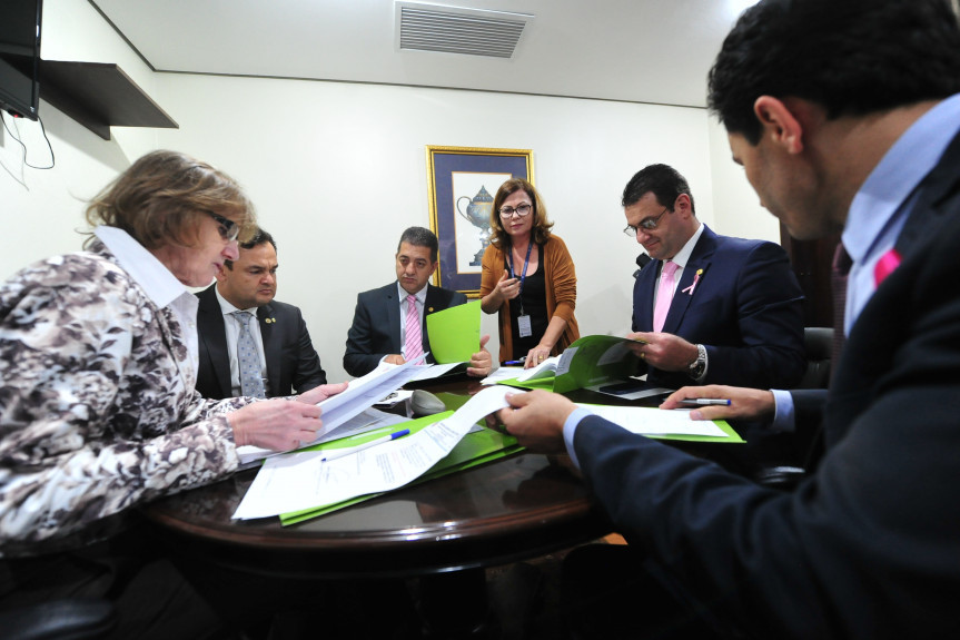 Comissão de Defesa dos Direitos da Criança, do Adolescente, do Idoso e da Pessoa com Deficiência (Criai) se reúne na próxima segunda-feira (28).