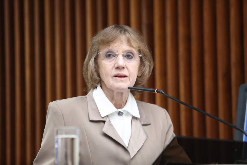 A deputada Luciana Rafagnin (PT) se manifestou durante a sessão plenária desta segunda-feira (14).