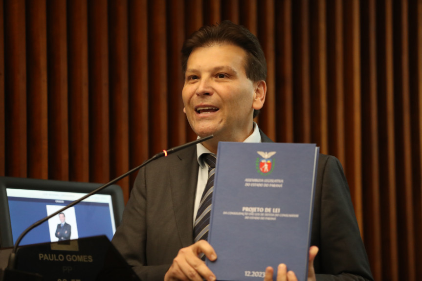 O deputado Paulo Gomes (PP) é o presidente da Comissão de Defesa do Consumidor da Assembleia.