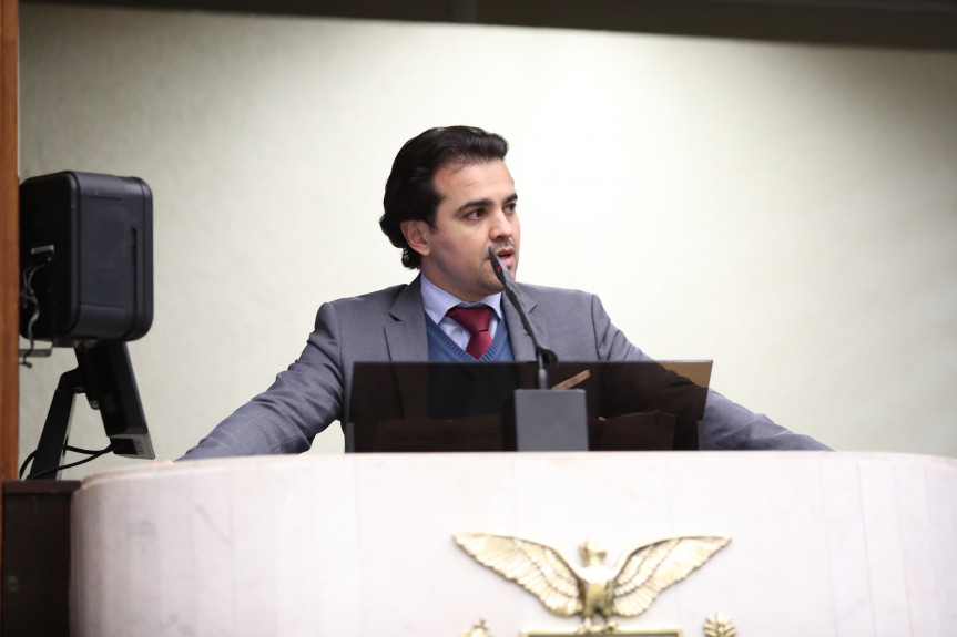 Deputado Luiz Fernando Guerra (PSL).