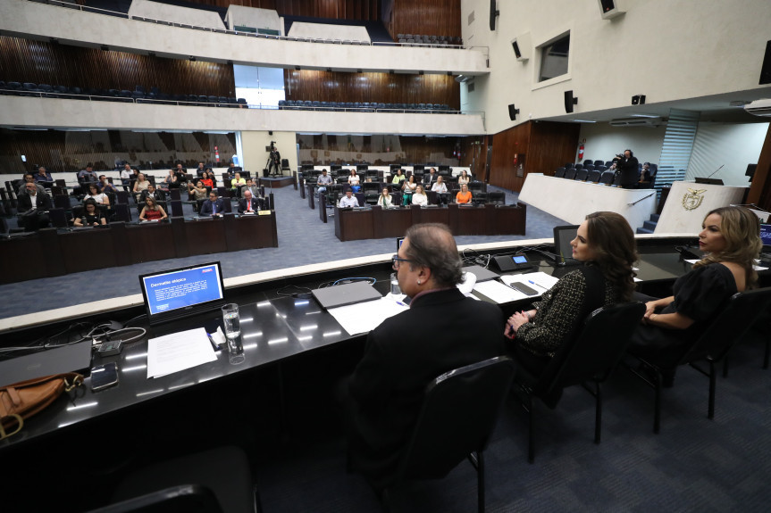 Audiência ocorreu no Plenário da Assembleia Legislativa na manhã desta segunda-feira (18).