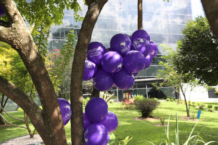 Dia Mundial de Conscientização sobre Epilepsia ou Purple Day é comemorado em 26 de março.