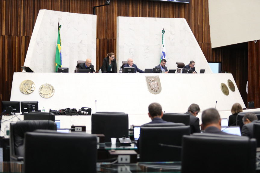 Deputados aprovam projeto que proíbe de corrida de cães em todo o Paraná.