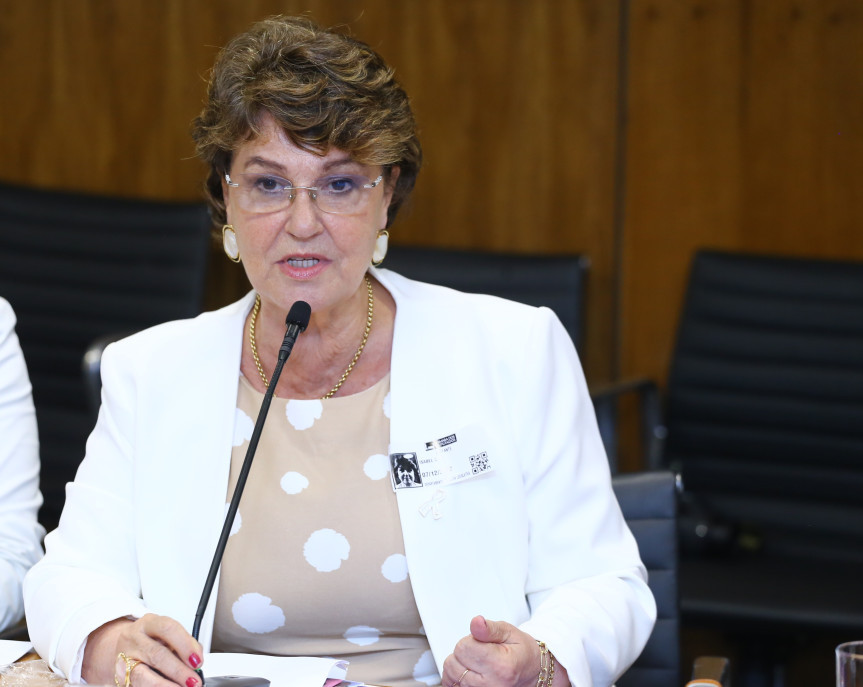 Deputada Cristina Silvestri (CDN), procuradora da Mulher na Assembleia Legislativa do Paraná.