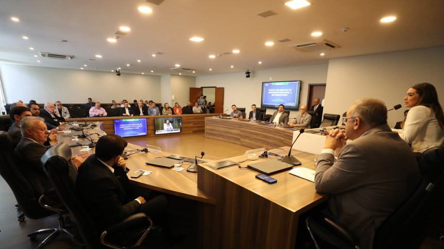 Debate sobre diversas fontes energéticas foi realizado no Auditório Legislativo.