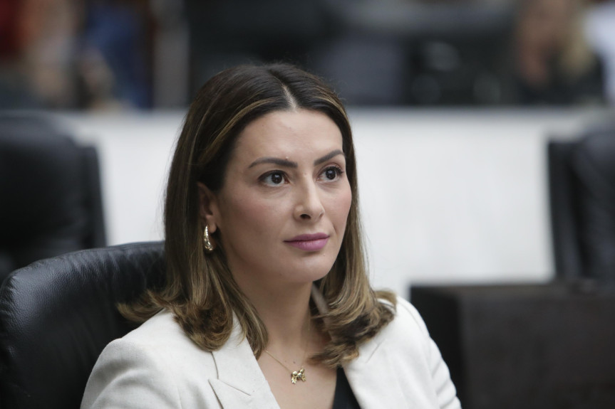 Deputada Mabel Canto (PSDB) se pronunciou na sessão plenária de segunda-feira (8).