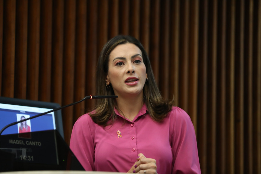 Na sessão de segunda-feira (4), a líder da Bancada Feminina na Casa prestou contas sobre as ações desenvolvidas pelo grupo de trabalho.