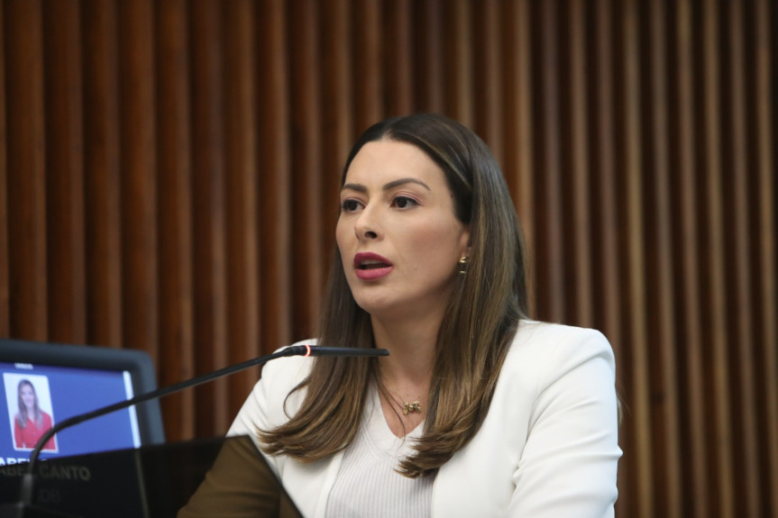 A deputada ressaltou que a luta pela preservação do direito continua.