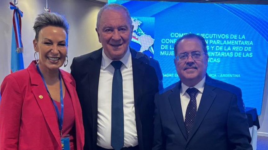 Durante o encontro, além das discussões e trocas de experiências, haverá a eleição de novos membros para compor o Comitê Executivo da Rede.