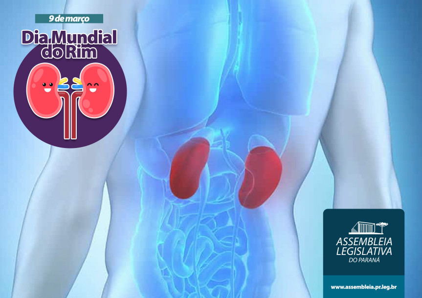 Data é celebrada na segunda quinta-feira do mês de março, com ações voltadas para a prevenção da Doença Renal Crônica (DRC) em todas as nações do mundo.