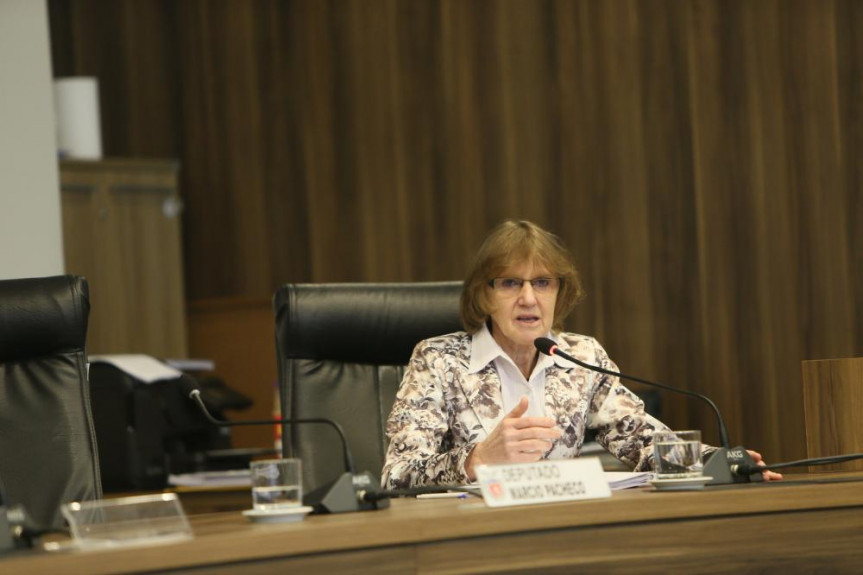 Deputada Luciana Rafagnin (PT).