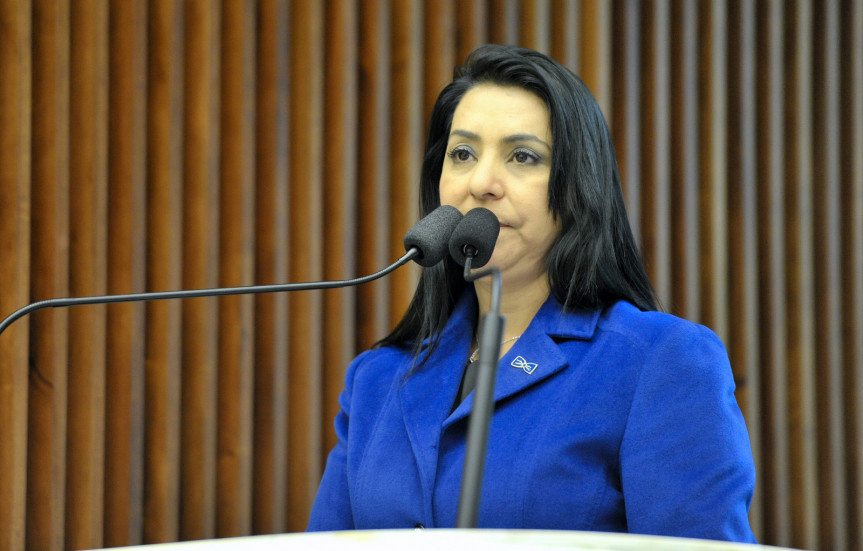 Deputada Cantora Mara Lima (PSDB).