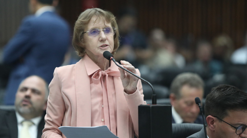 Deputada Luciana Rafagnin (PT).