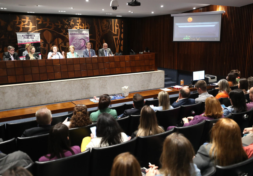 Audiência ocorreu no Plenarinho da Assembleia Legislativa na manhã desta segunda-feira (20).