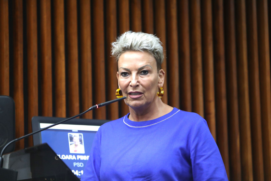 “A gente não vai conseguir subir numa tribuna como essa, que é tão importante, para falar de qualquer assunto, se a gente não tiver saúde”, ressalta a parlamentar.