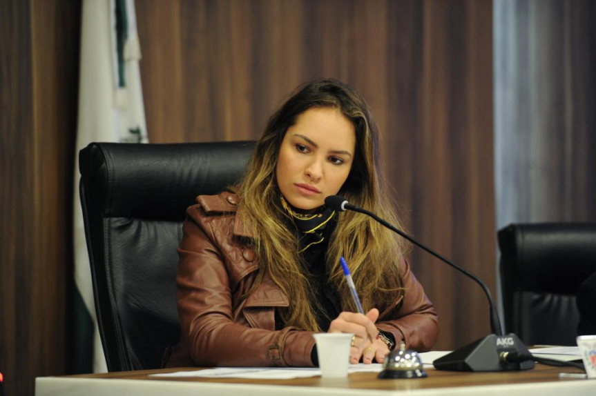 Presidente da Comissão do Mercosul e Assuntos Internacionais, deputada Maria Victoria (PP).