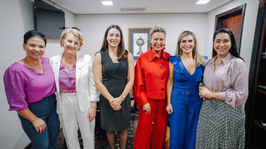 Desde a implantação, em 2011, a representatividade feminina no legislativo paranaense vem ganhando força com a instalação da Procuradoria da Mulher, em 2019, a criação da Bancada Feminina em 2023 e a instituição do Código de Defesa da Mulher Paranaense, em 2024, que reúne 99 leis relativas aos direitos da mulher.