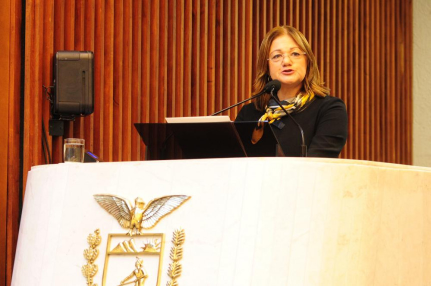 Rosane Nascimento, ex-presidente do Conselho Nacional de Nutrição.