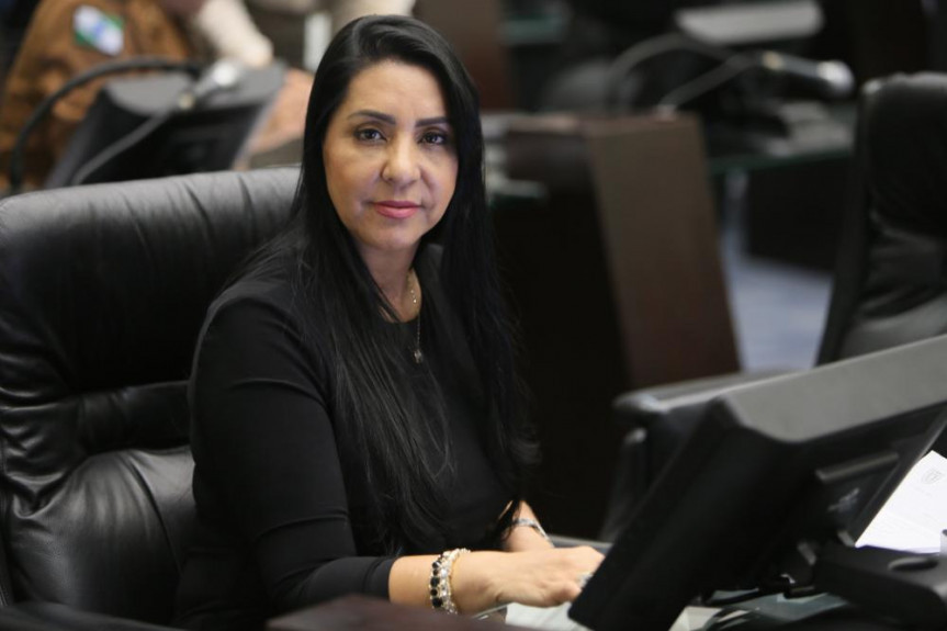 A deputada Mara Lima chama a atenção para o crescimento da violência contra a mulher.