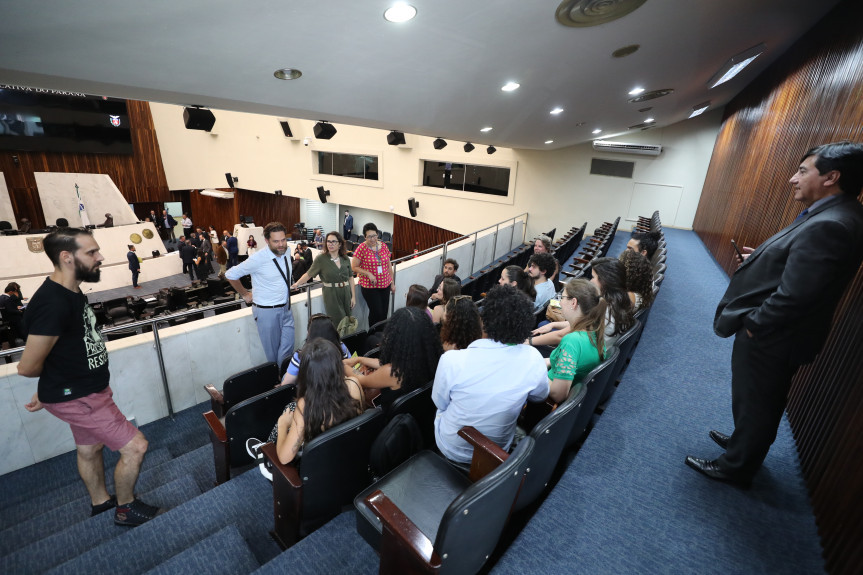 O grupo foi recebido pelo deputado Goura (PDT) nas galerias do Plenário.