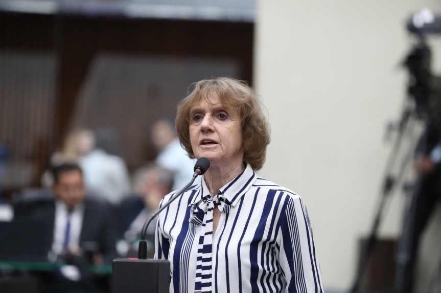Deputada Luciana Rafagnin (PT).