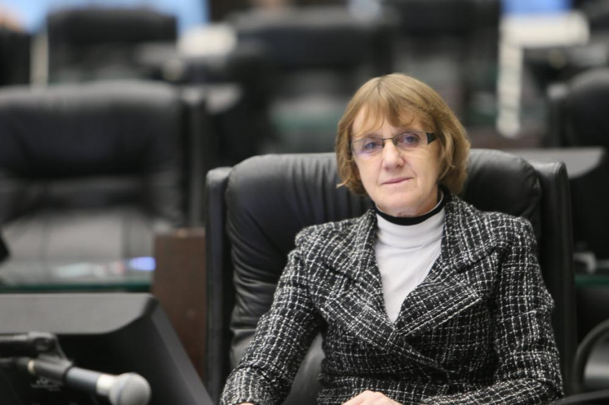 Deputada Luciana Rafagnin (PT).