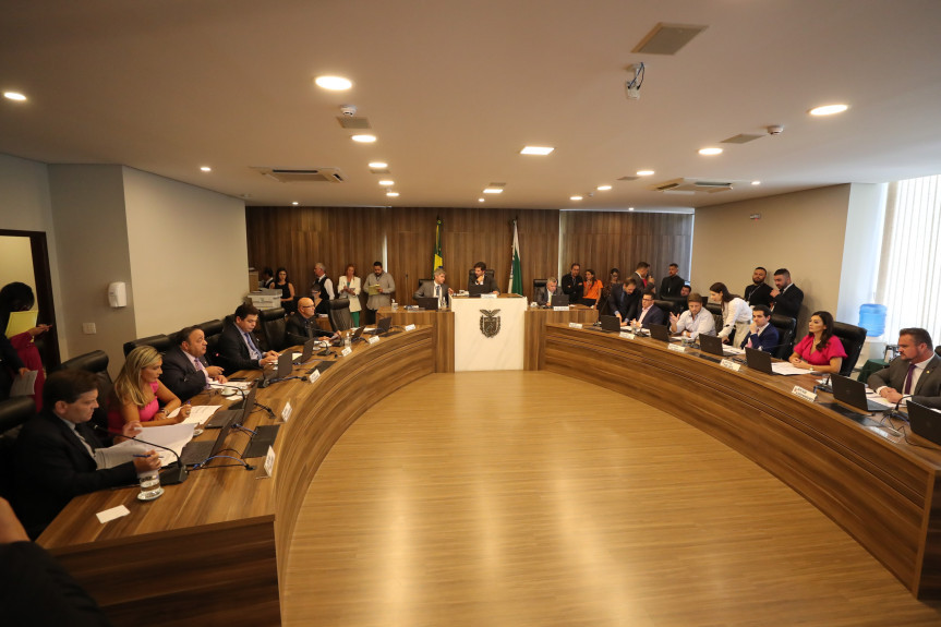A proposta aprovada na Comissão também cria na estrutura organizacional do Governo o Conselho Estadual dos Direitos da Mulher do Paraná.