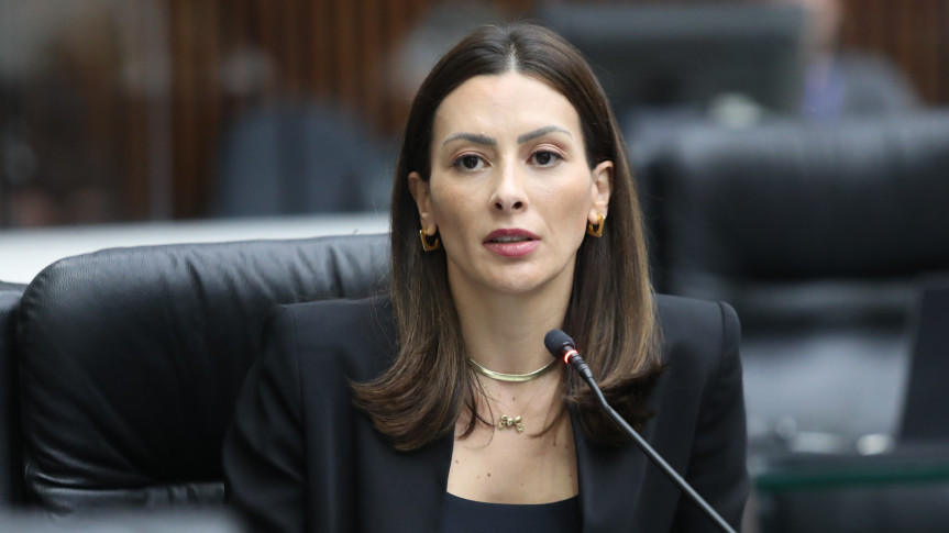 Deputada Mabel Canto (PP).