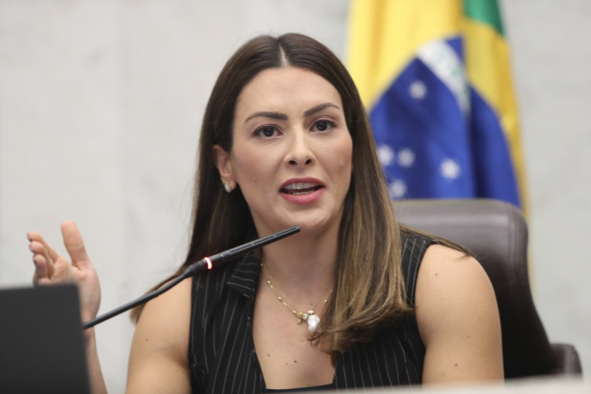 ". Esse é o resultado do trabalho da Bancada Feminina em conjunto com outros deputados. Juntos, estamos construindo um Paraná mais seguro e justo para nossas mulheres", comemorou a deputada Mabel Canto (PSDB), líder da Bancada Feminina.