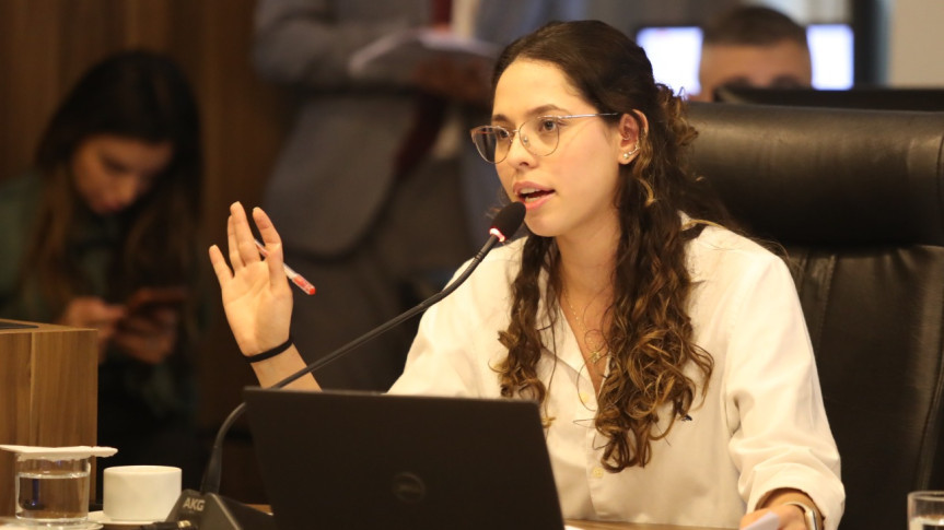 Deputada Ana Júlia (PT).