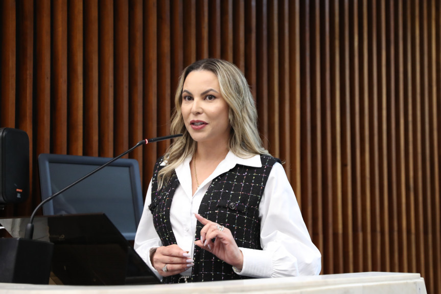 A presidente do Conselho de Ações Solidárias e Voluntariado da Assembleia, Rose Traiano, discursou na abertura do workshop.