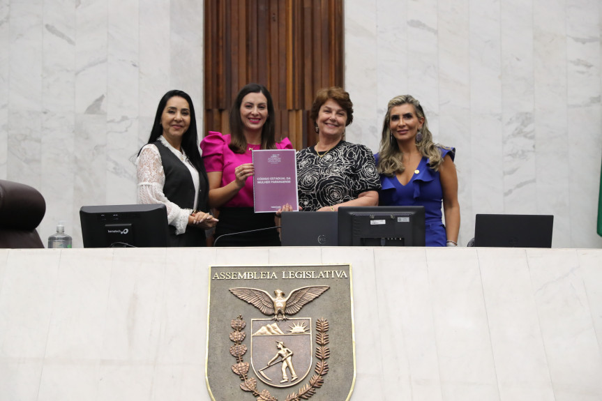 O objetivo foi agrupar o conjunto de normas vigentes que interferem na vida das mulheres, de modo a facilitar o acesso por toda população, organizando as leis pela sua pertinência temática, promovendo ainda, se possível e necessário, uma revisão dos dispositivos sobre os mais diversos assuntos.