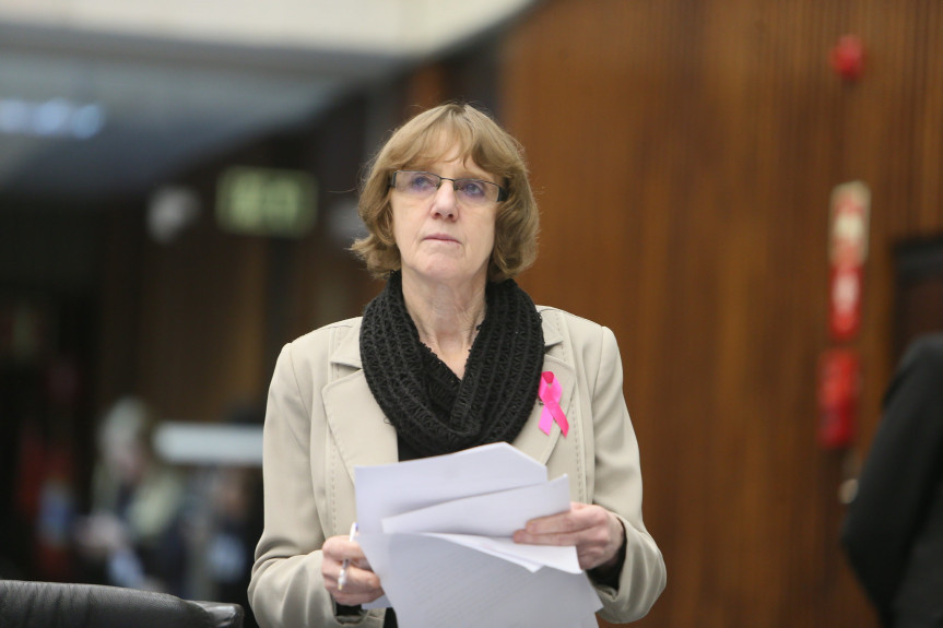 Deputada Luciana Rafagnin (PT).