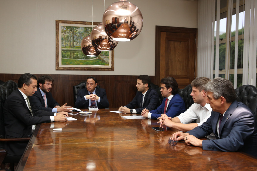 Reunião da Comissão Especial para apresentação do relatório sobre a  PEC da aposentadoria dos servidores estaduais.