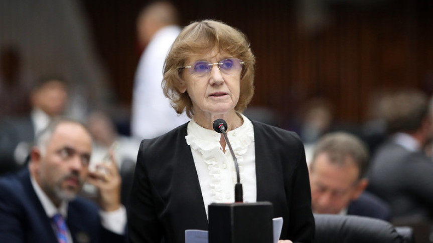 Deputada Luciana Rafagnin (PT) durante pronunciamento em Plenário.