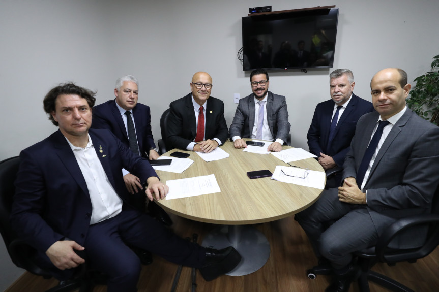 Participaram da reunião o presidente da Comissão, deputado Luiz Claudio Romanelli (PSD), e os deputados Delegado Jacovós (PL), Evandro Araújo (PSD), Arilson Chorato (PT), Anibelli Neto (MDB) e Douglas Fabrício (CDN).